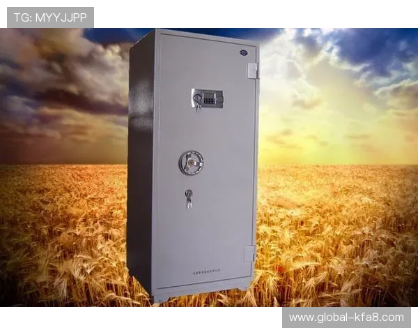 凯发k8官方入口确保玩家账号安全与快速登录的最佳解决方案介绍